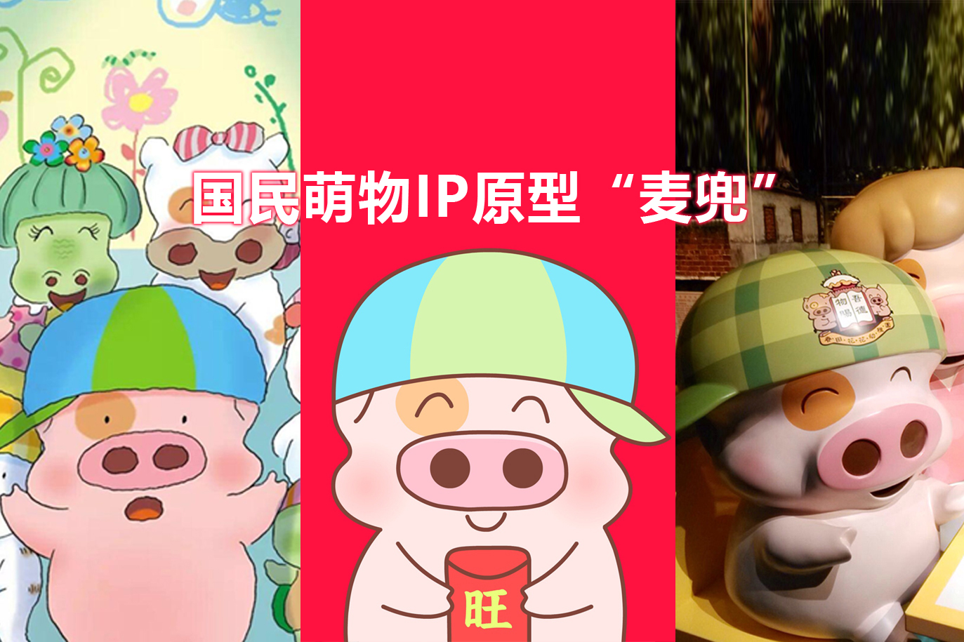 成都水手包装设计公司案例，麦兜熊品牌设计图片